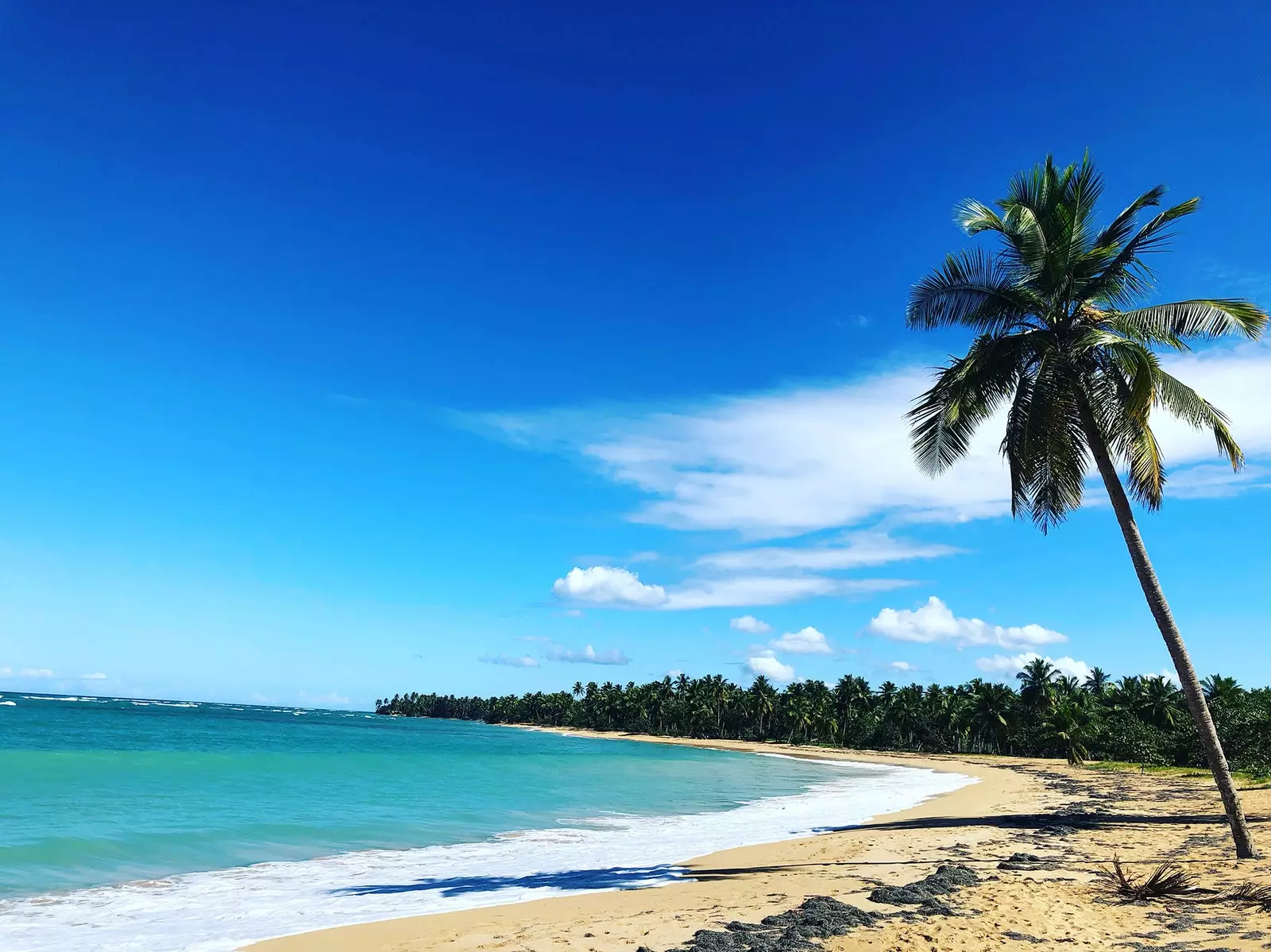 Fall in love with the Dominican Republic without setting foot in Punta Cana