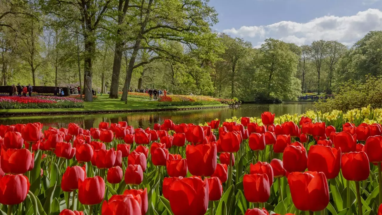 Na jar sa opäť otvára najväčšia tulipánová záhrada na svete