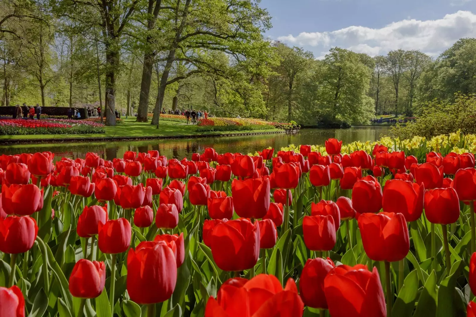 Keukenhof