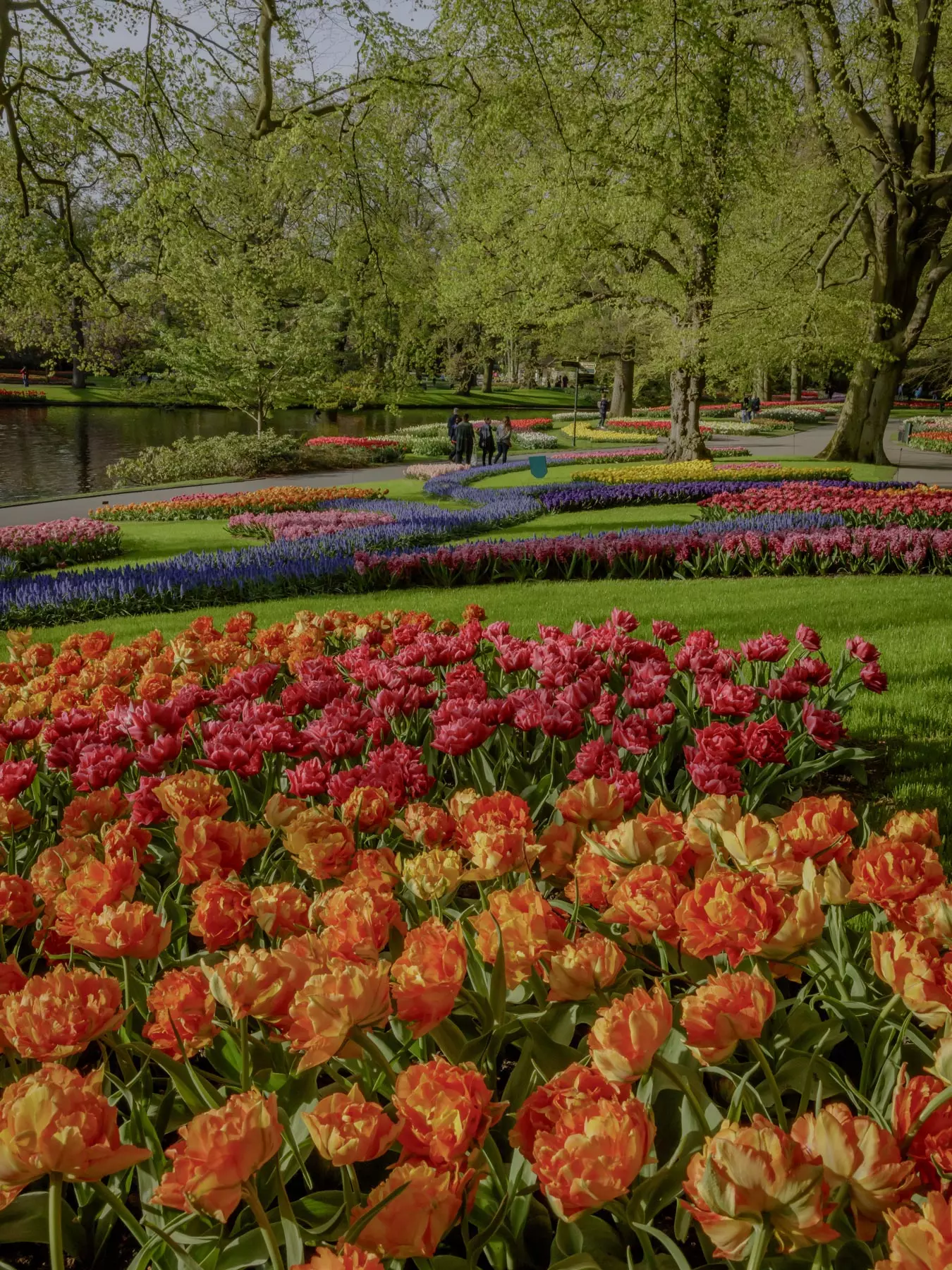 Keukenhof