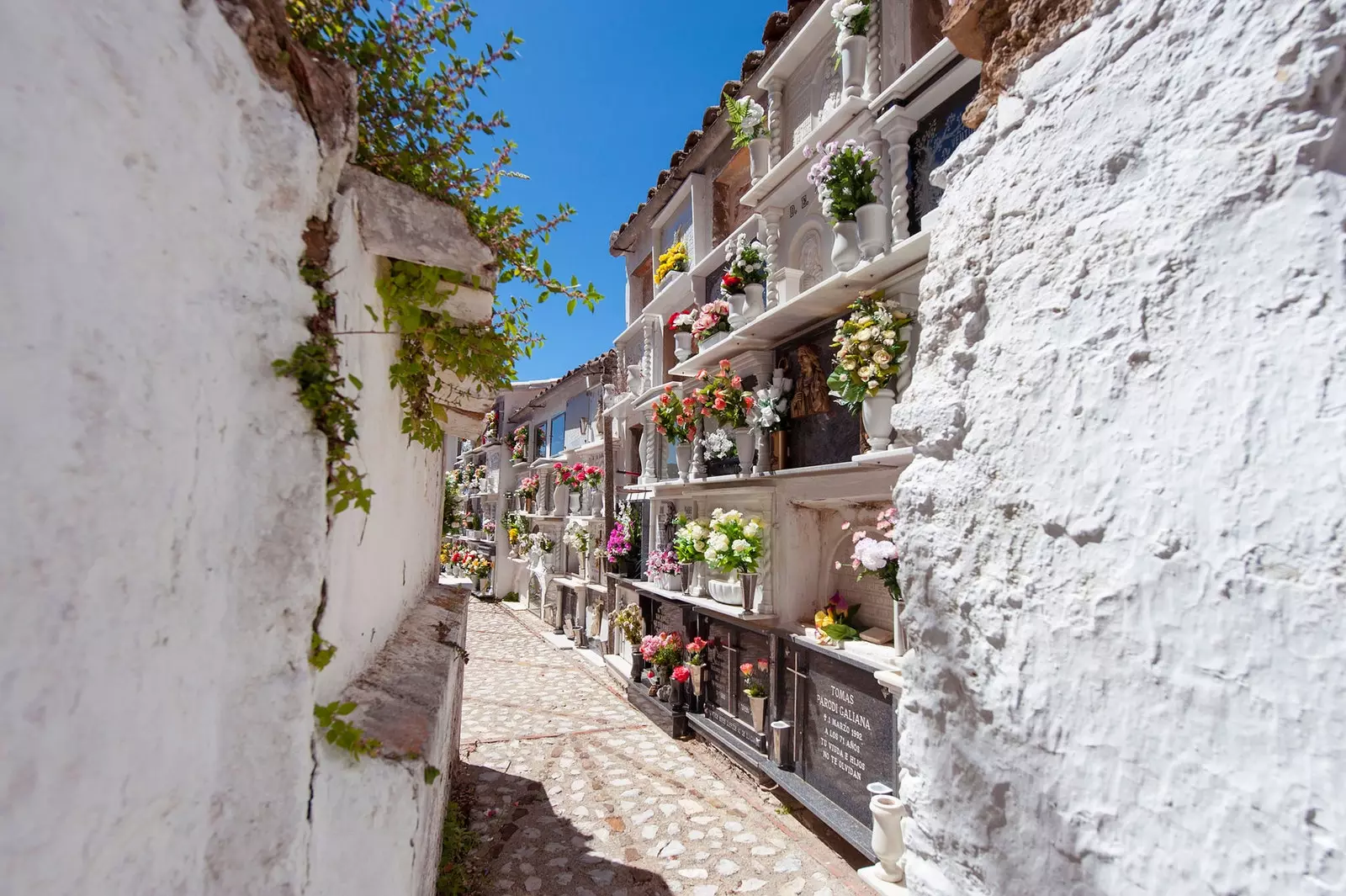 One of the corridors of the cemetery of Villaluenga del Rosario Cdiz