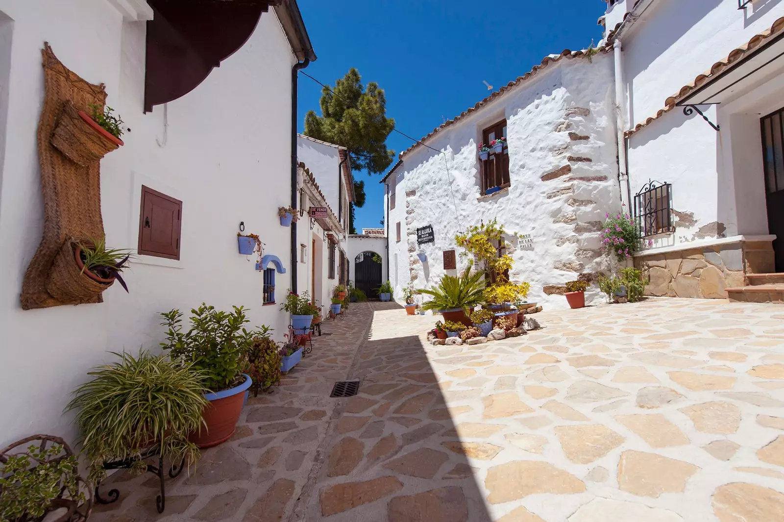 Carrers de Villaluenga del Rosari