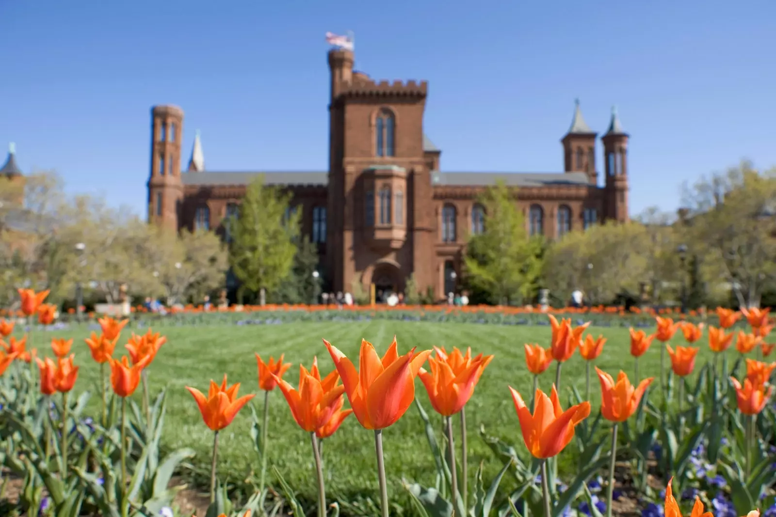 Lo Smithsonian Institute ha 17 musei e gallerie.