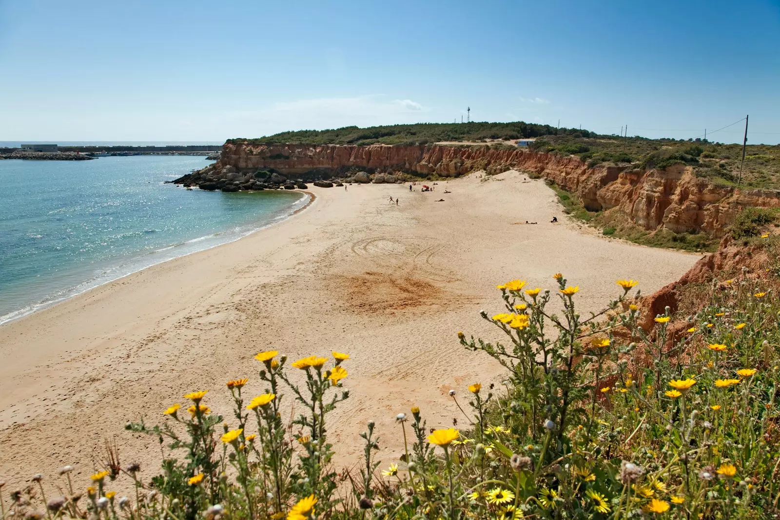 Cala del Aceite, еще одна классика Conil.