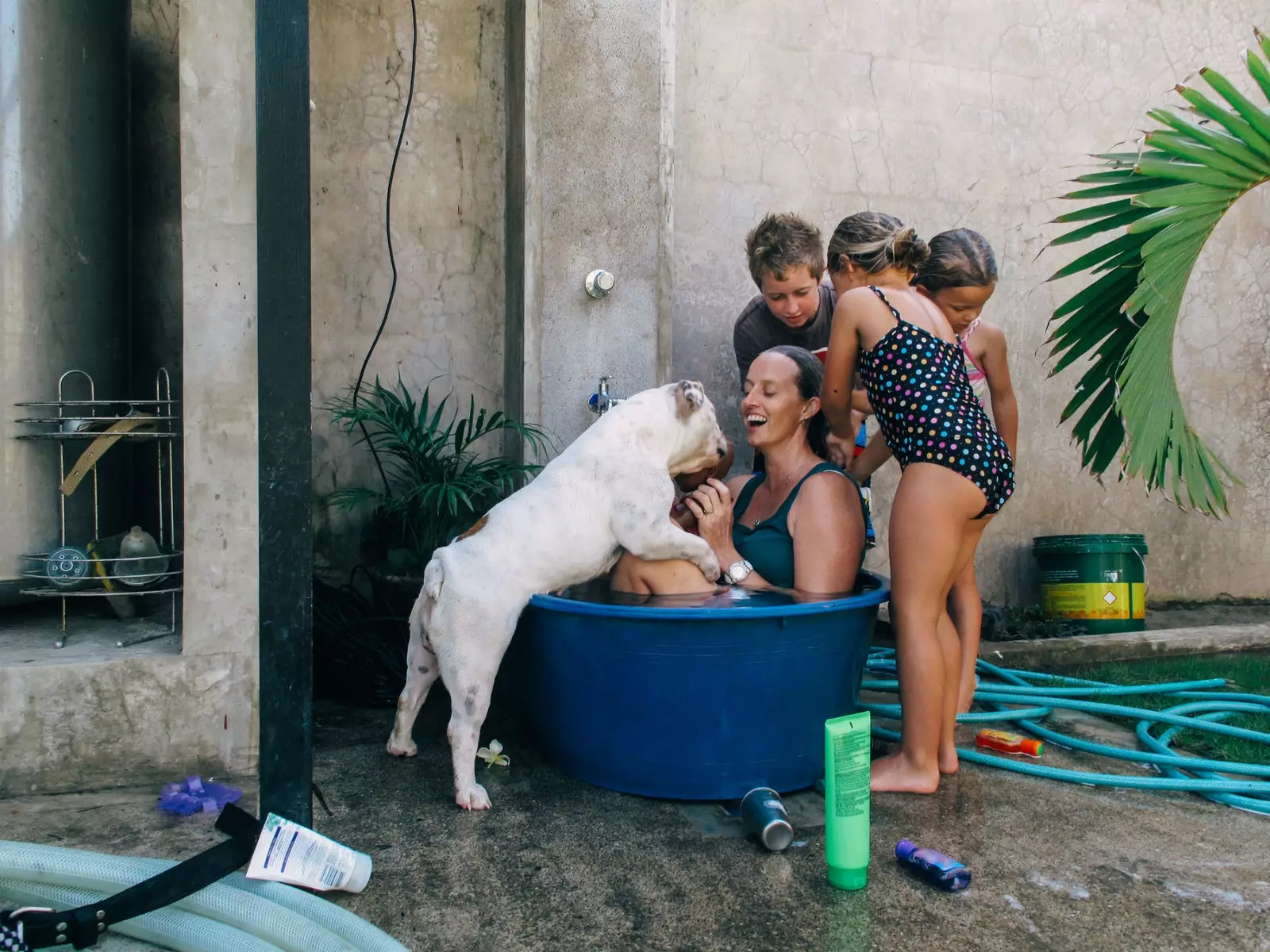 Réclamons des vacances avec des chiens.