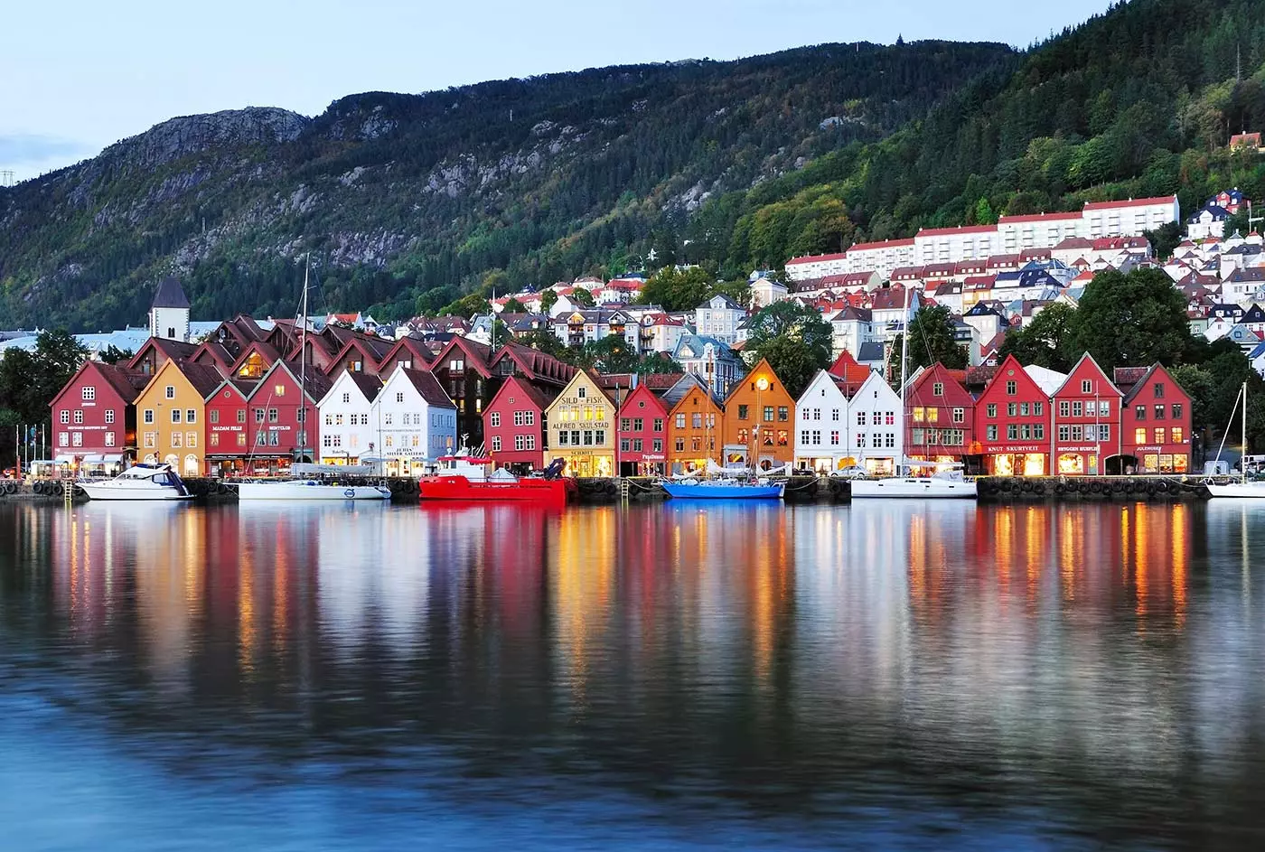 bergen ya