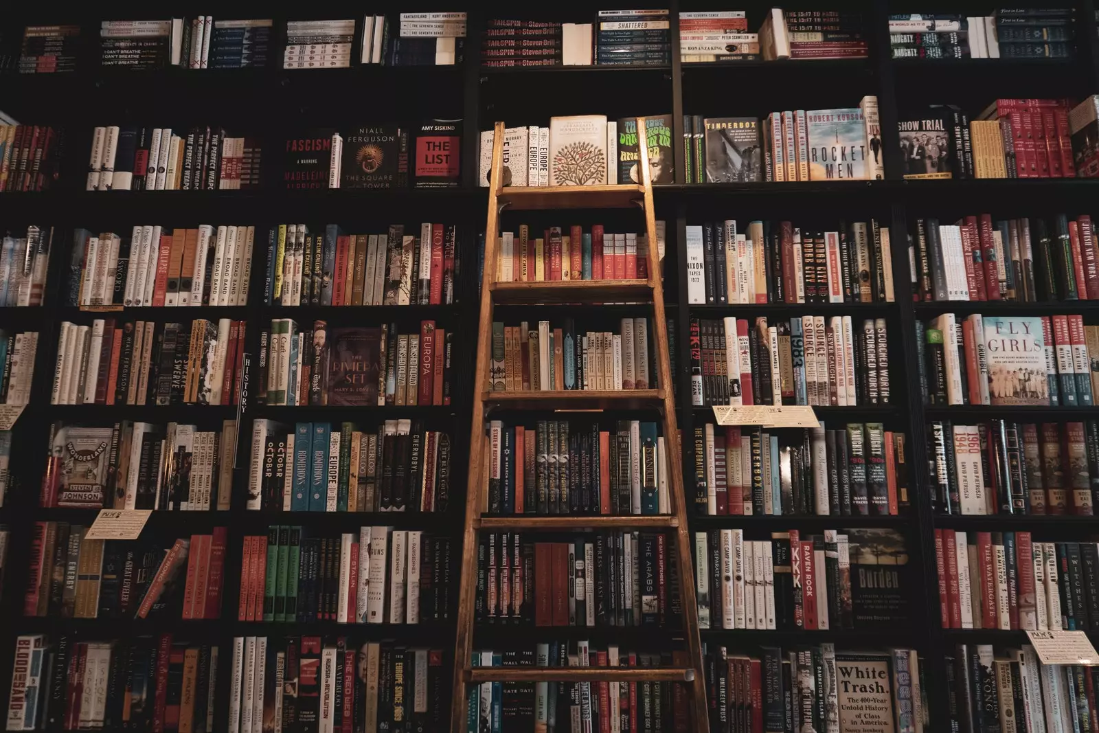 Book shelves in a house