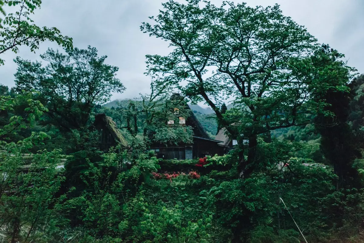 Shirakawago