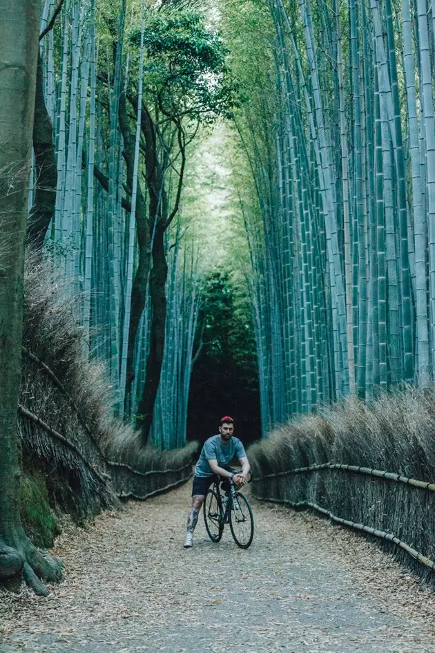 Foresta di bambù a Kyoto