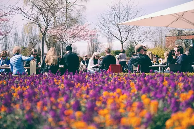 Slotsträdgardens