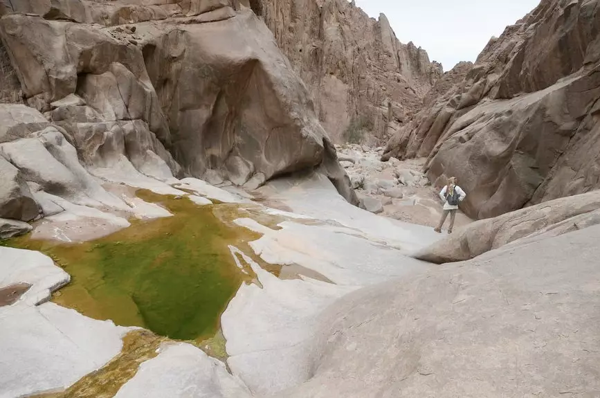 مسیر دریای سرخ