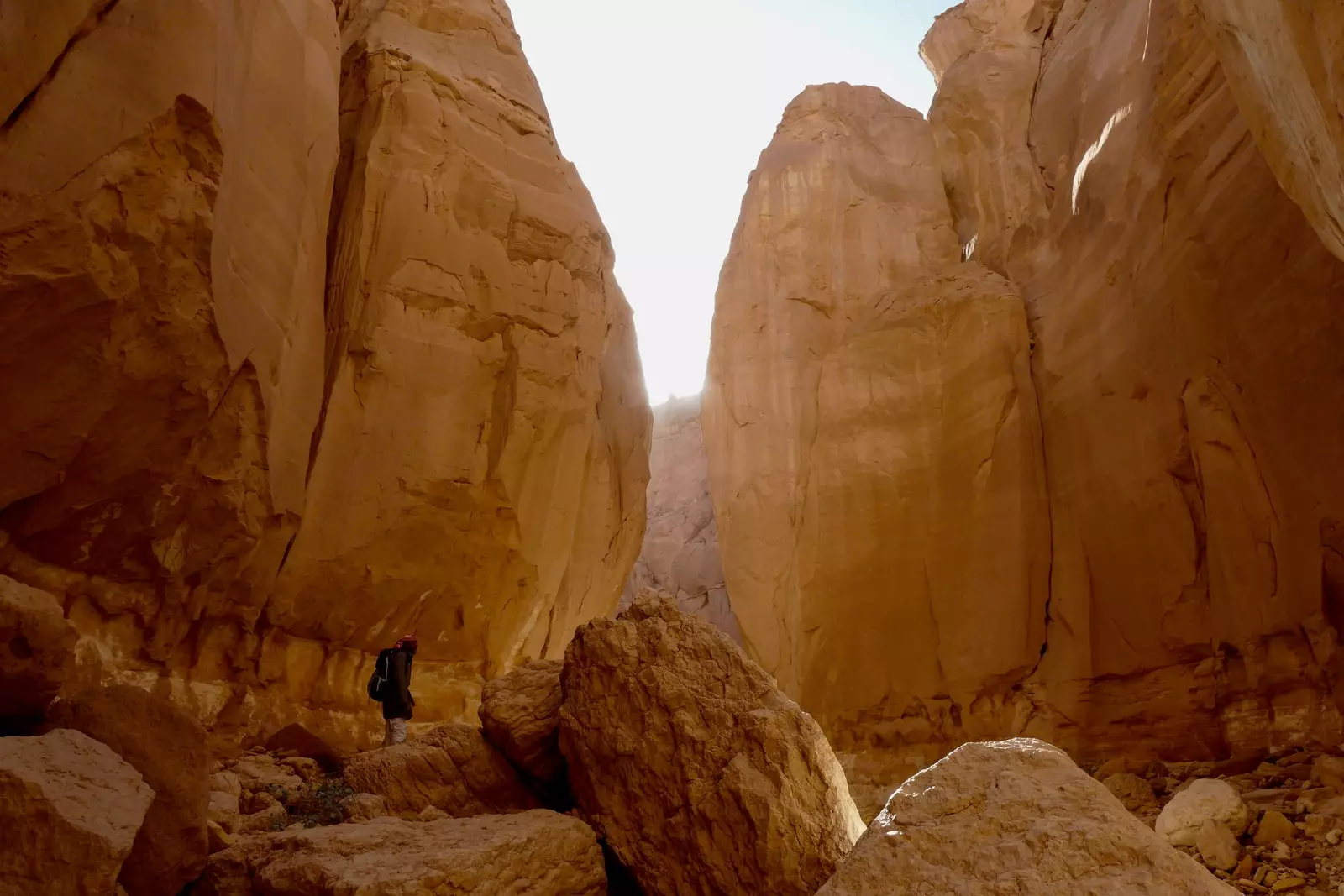 A Bedouin an engem Ca n de Sinai Trail