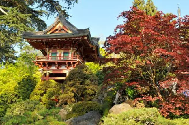 Japonská zahrada parku Golden Gate