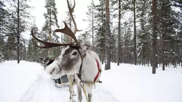 10 dalykų, kurių nepamiršite apie Suomijos Laplandiją