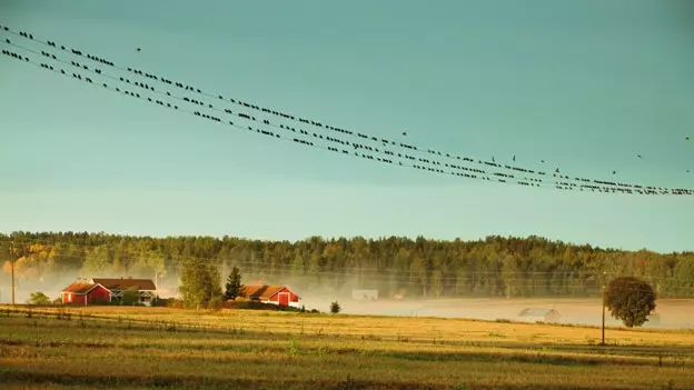 Rudenį? Žinoma, Suomijoje