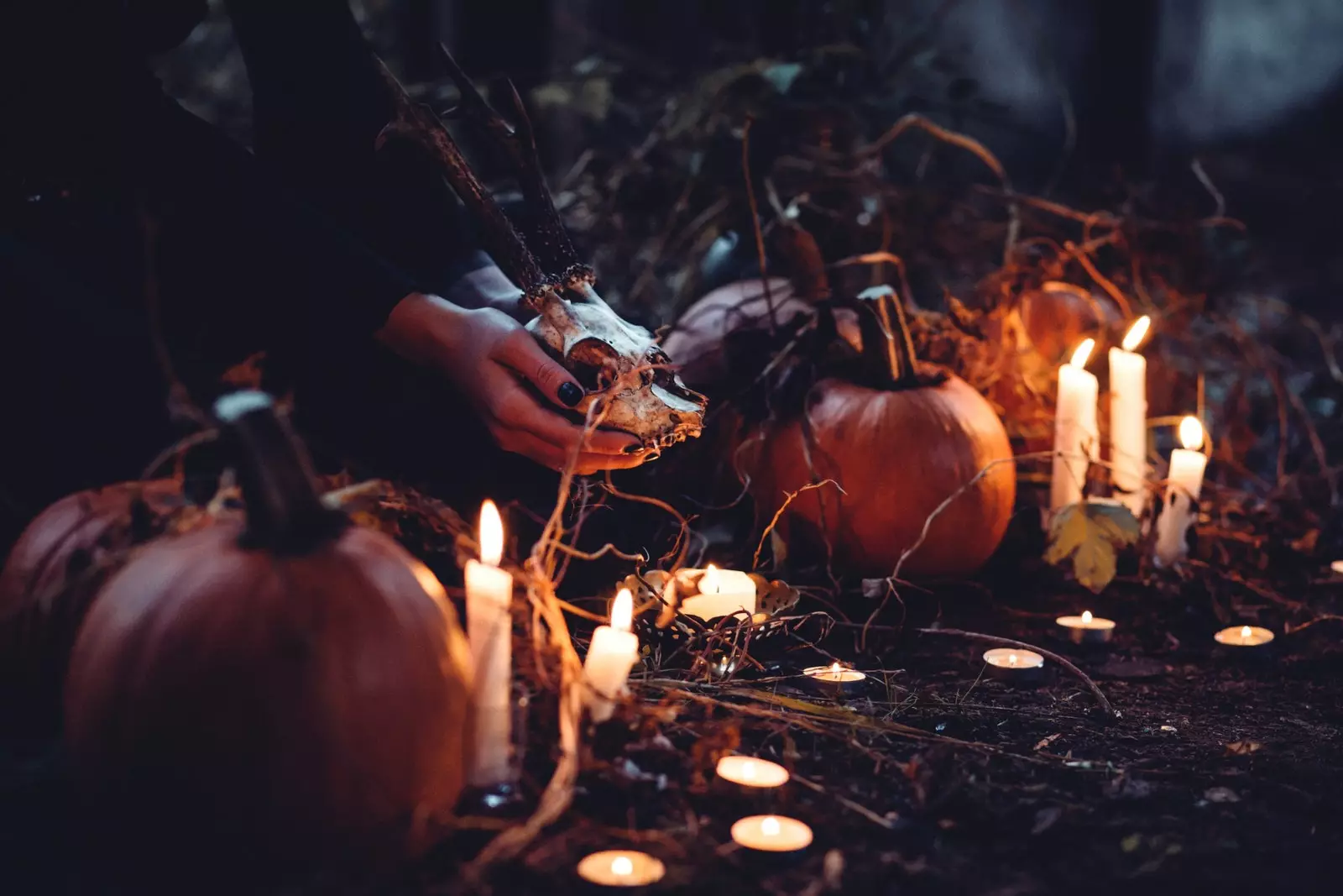 Este Halloween não fique em casa.