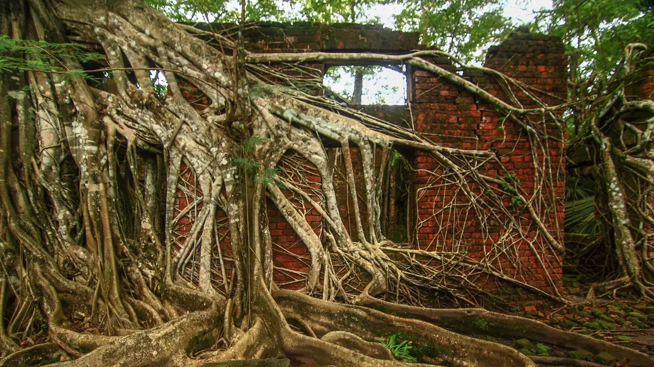 La natura si è impadronita di quest'isola fantasma abbandonata nell'Oceano Indiano