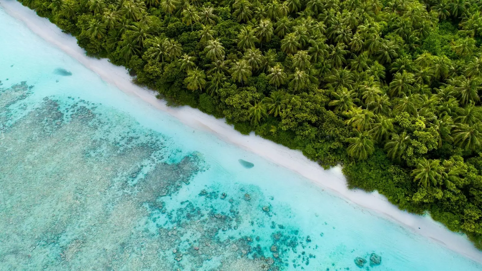 Di Maldives, setiap tindakan penjagaan alam sekitar menyumbang kepada pemeliharaannya.