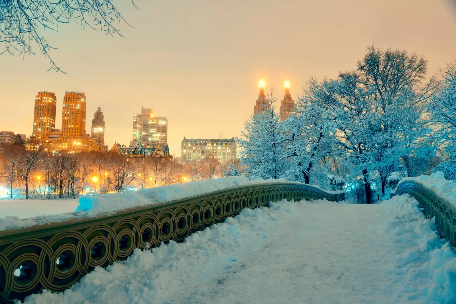 Parc central enneigé