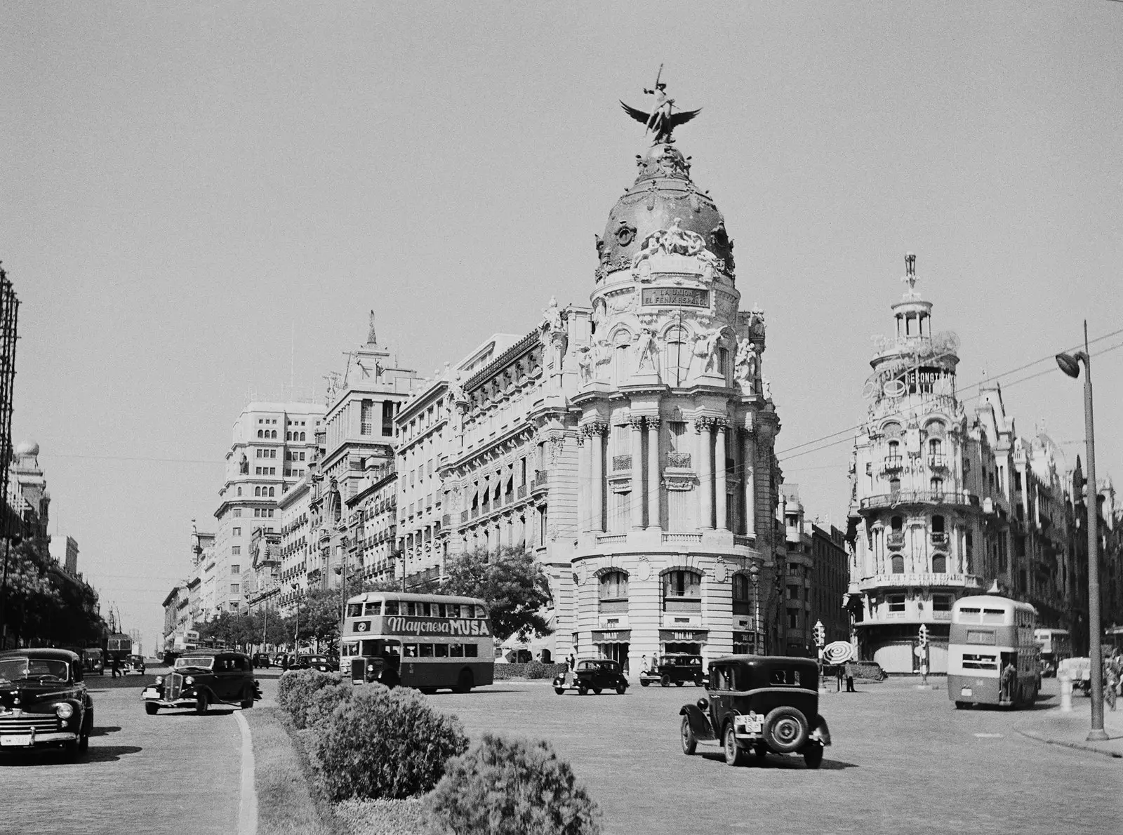 Madrid the Phoenix and resilience