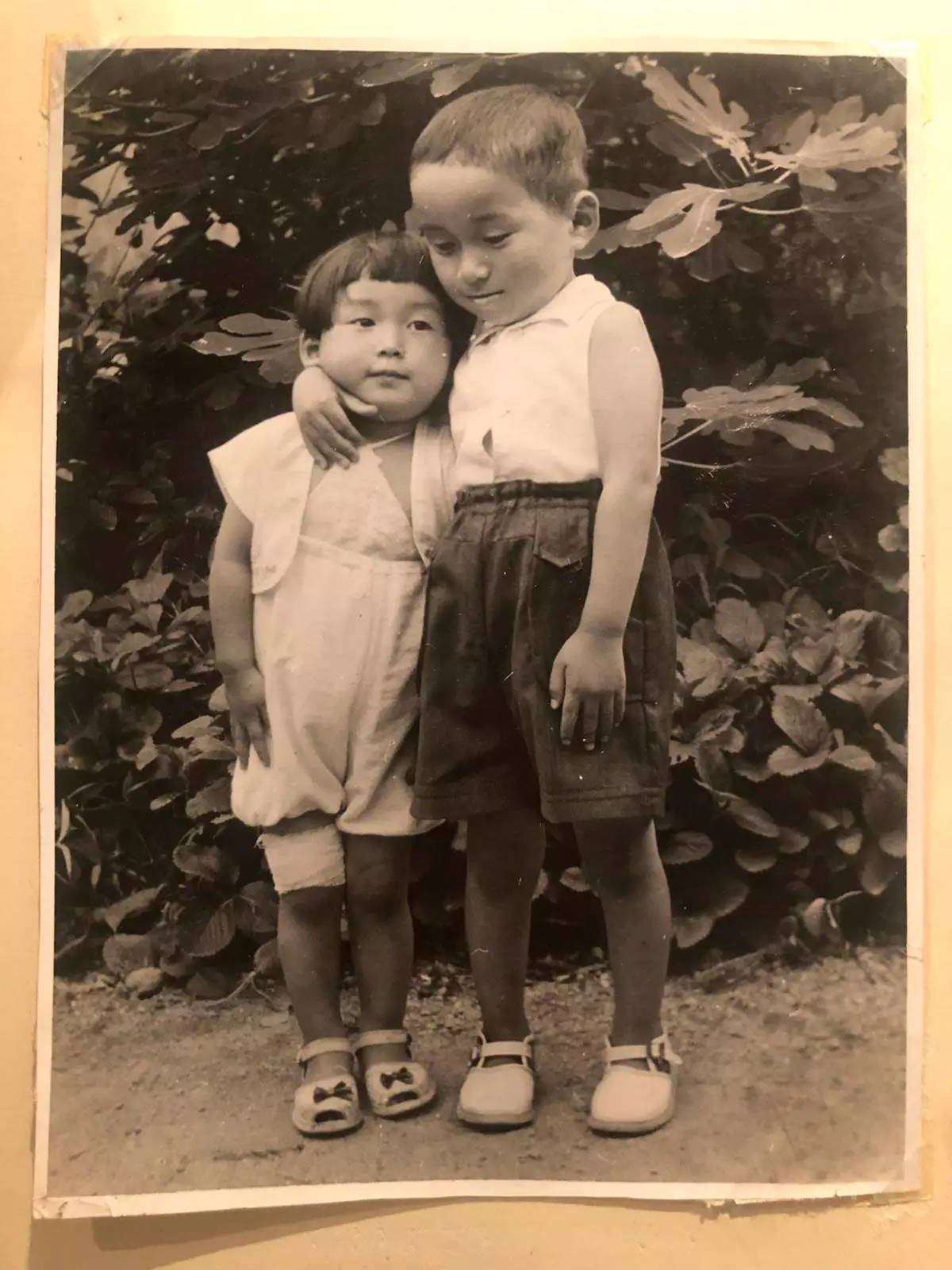 Hanayo Ueta mit ihrem älteren Bruder im Garten ihres Geburtsortes in Hiketa vor ihrem Feigenbaum. Die Urheberschaft Ihres Fotos ist...