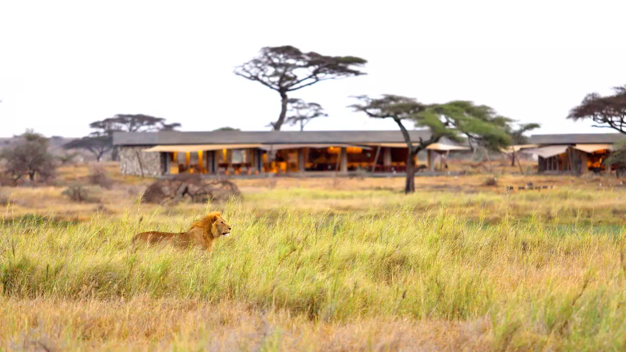 Explorando a Tanzânia: de Stone Town ao Serengeti