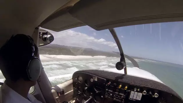 vista aérea das baleias