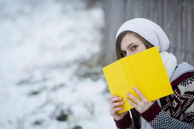 Livros para amantes da neve