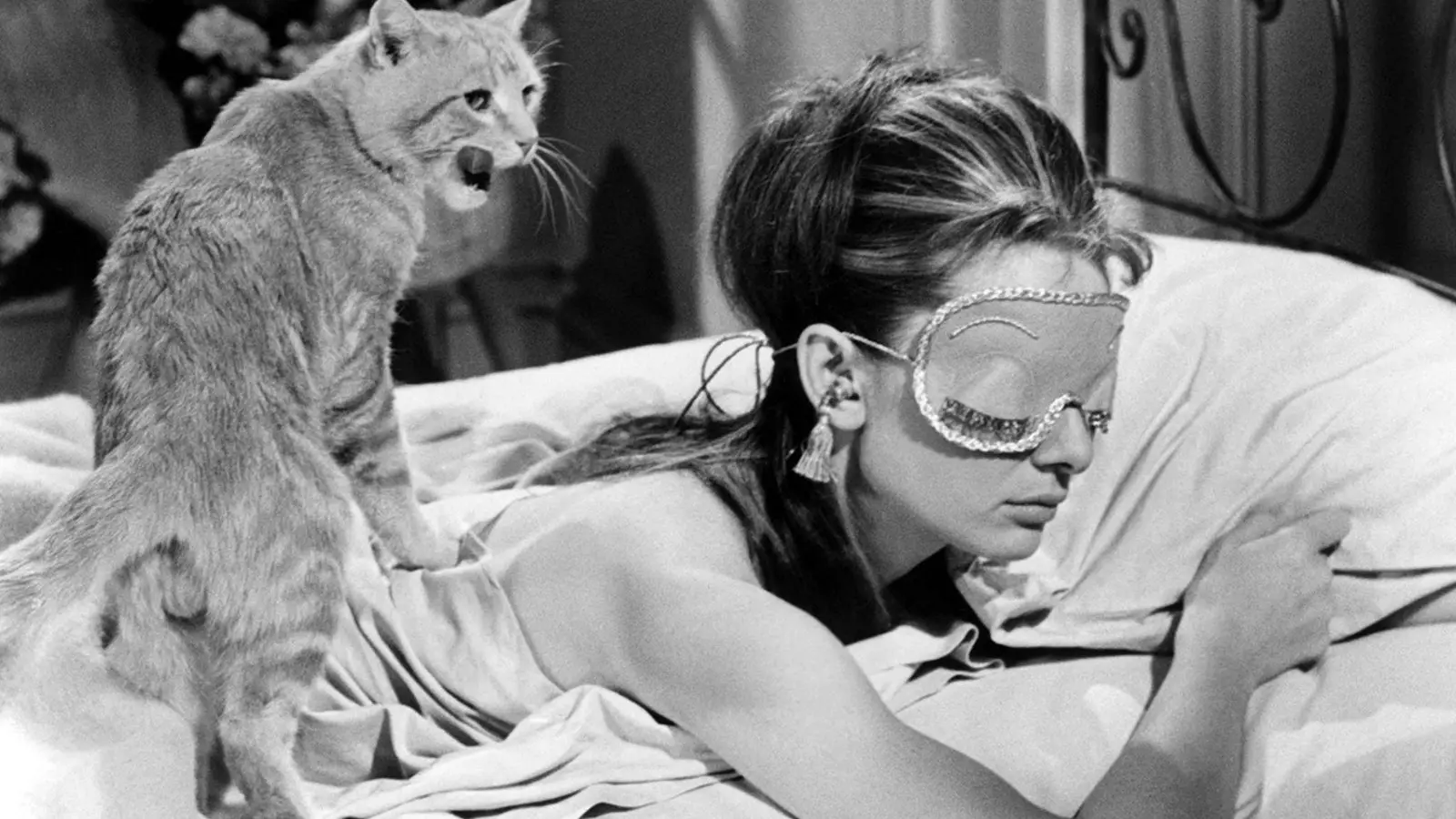 'Breakfast at Tiffany's' Szen vun der Kaz am Bett uewen op der Audrey Hepburn