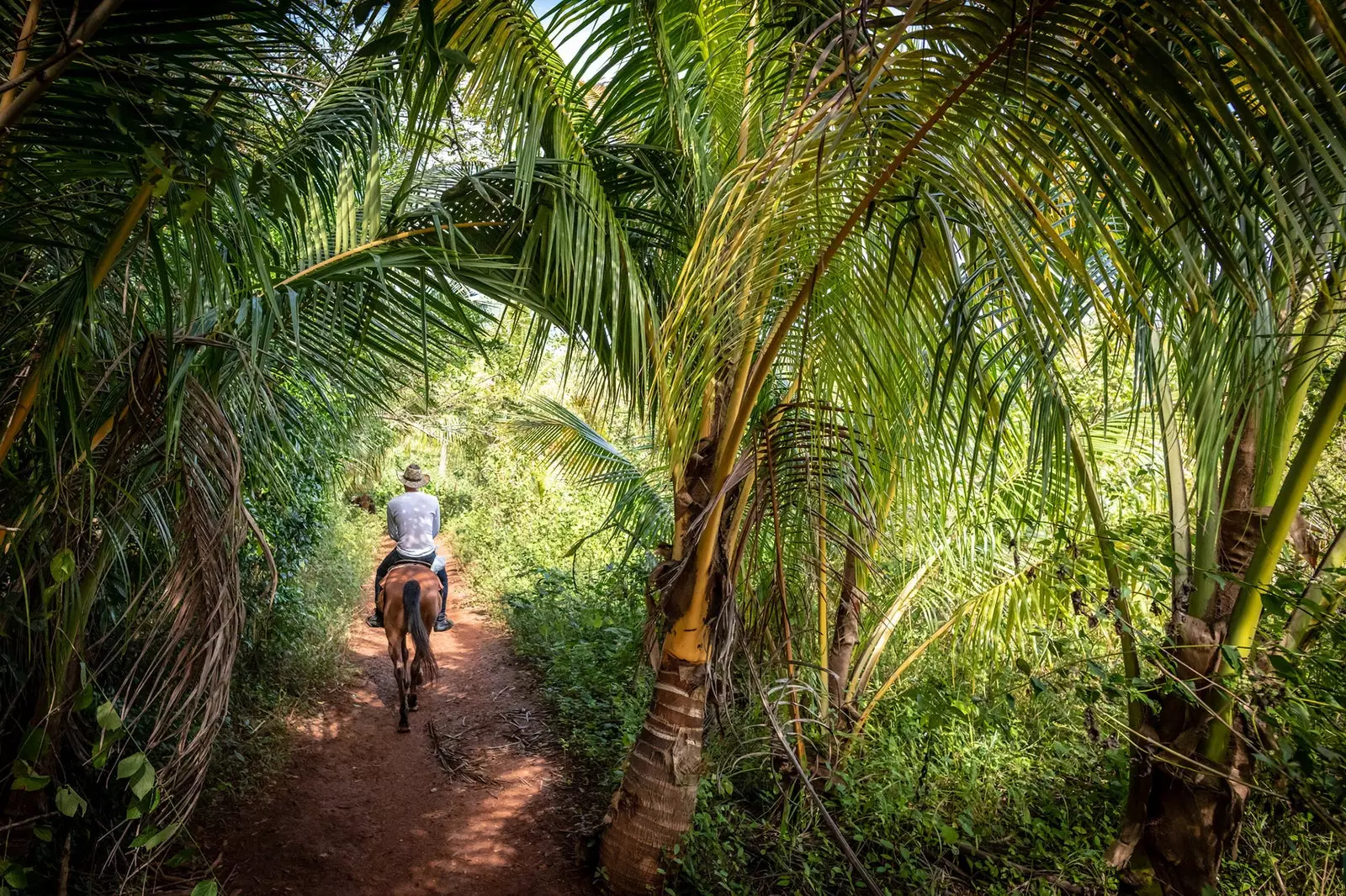 At yolu Viñales Kuba