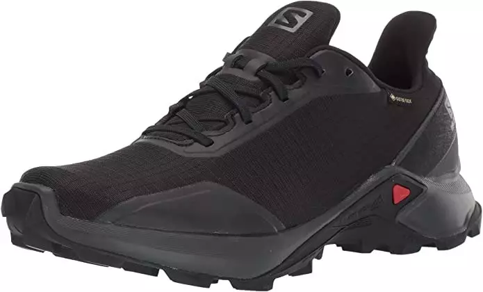 کفش دویدن مردانه Salomon Alphacross GTX® Trail