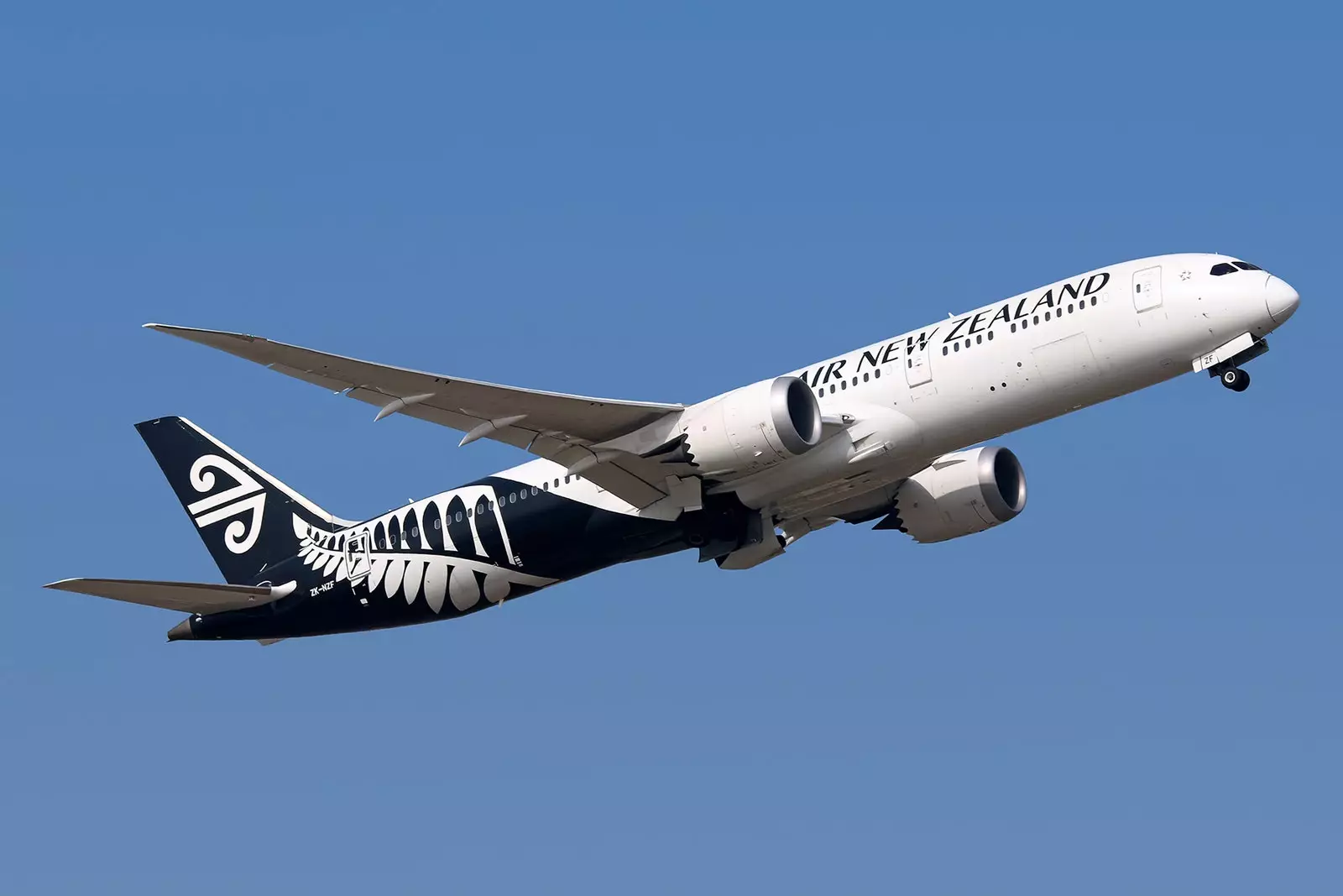 Air New Zealand алты дүркін жеңімпазы