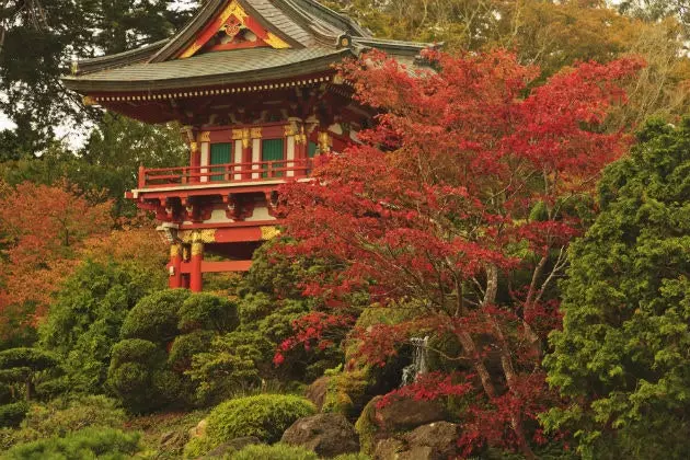 Japanese Tea Garden San Francisco