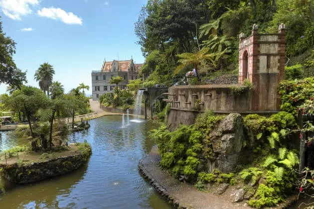 Giardino tropicale del palazzo del monte