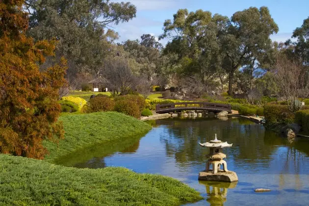 Jardin japonais Cowra