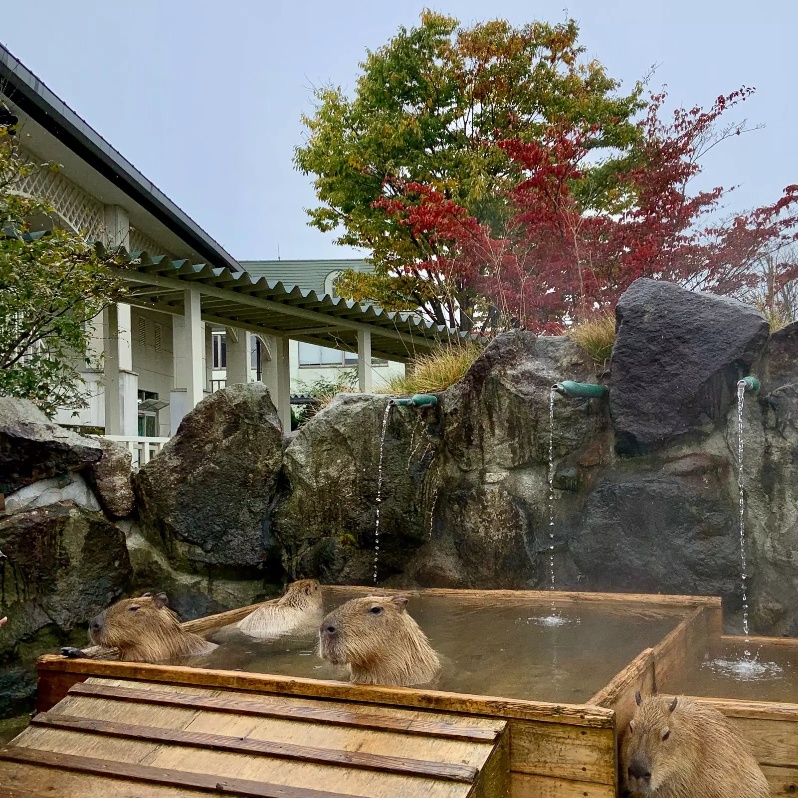 Entdecken Sie die „Diamond Route“, einen der touristischen Schätze Japans