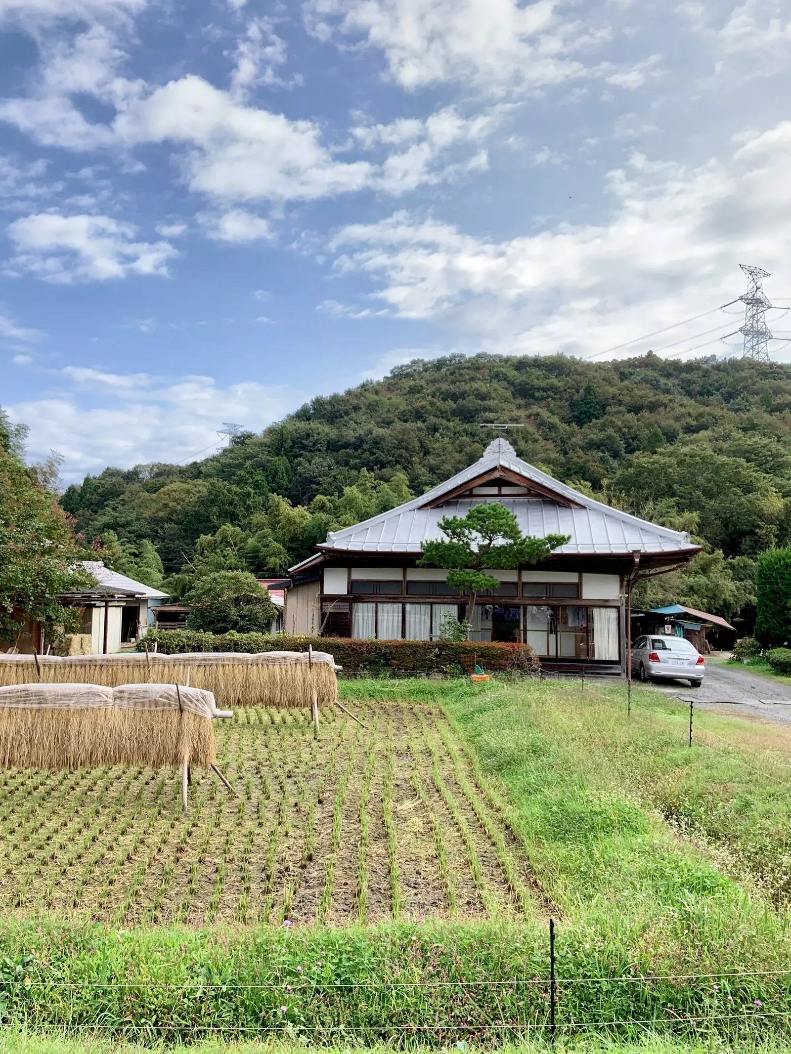 Champ de riz à Ibaraki