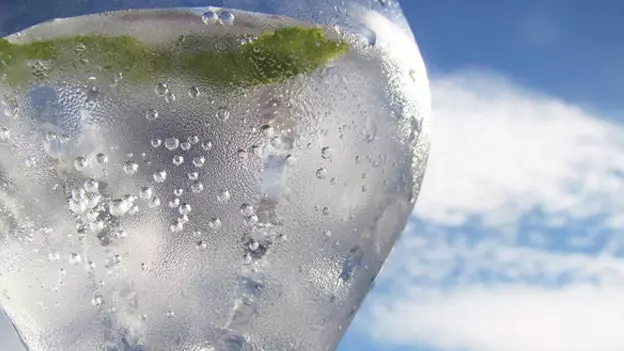 Handen omhoog! Dit is een gin-tonic