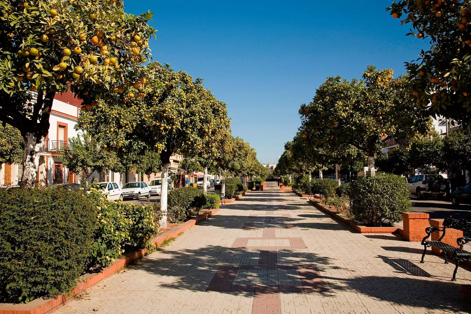 Promenáda Carlos Mesa v Coria del Río