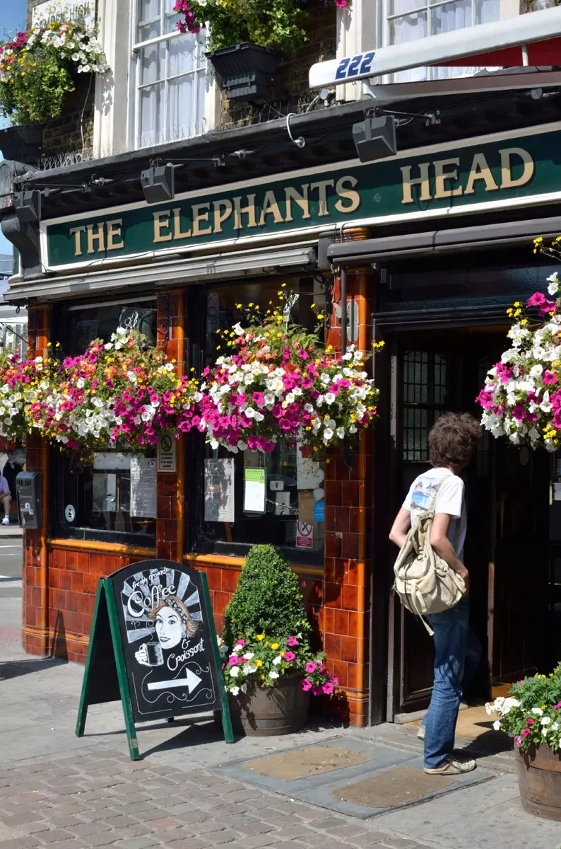 The Elephant's Head