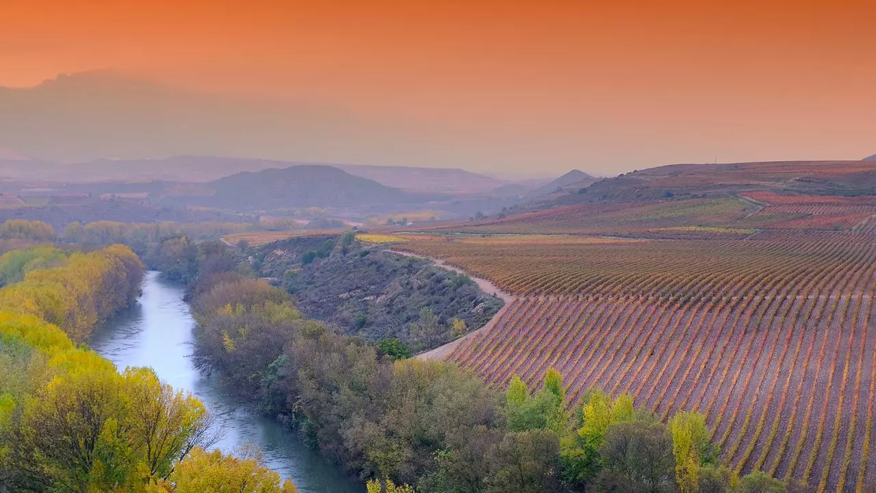 Dez razões para visitar La Rioja no outono