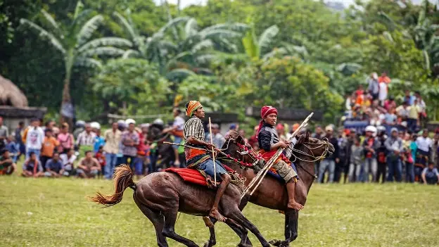 Sumba, na rubu divljine