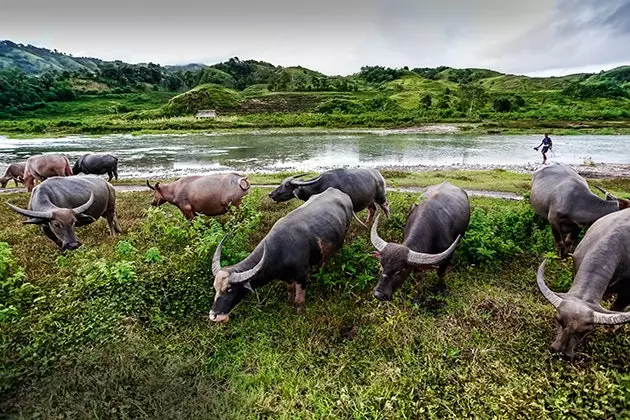 Cavalca fino al confine della natura selvaggia