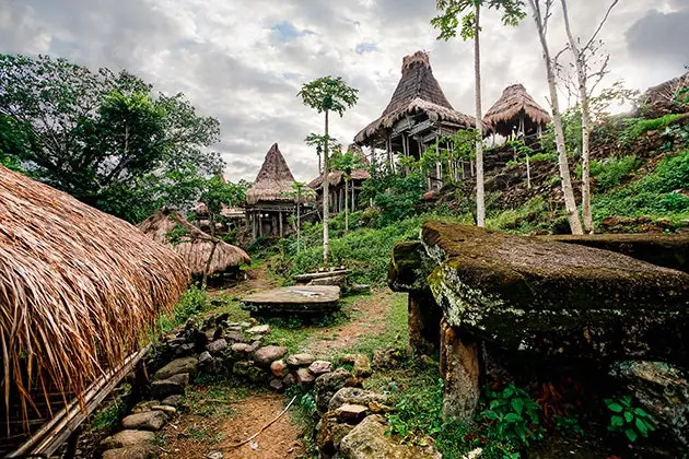 Menunggang ke pinggir hutan