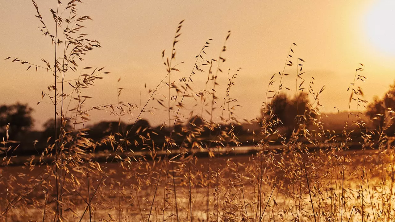 Resa till det inre av Empordà