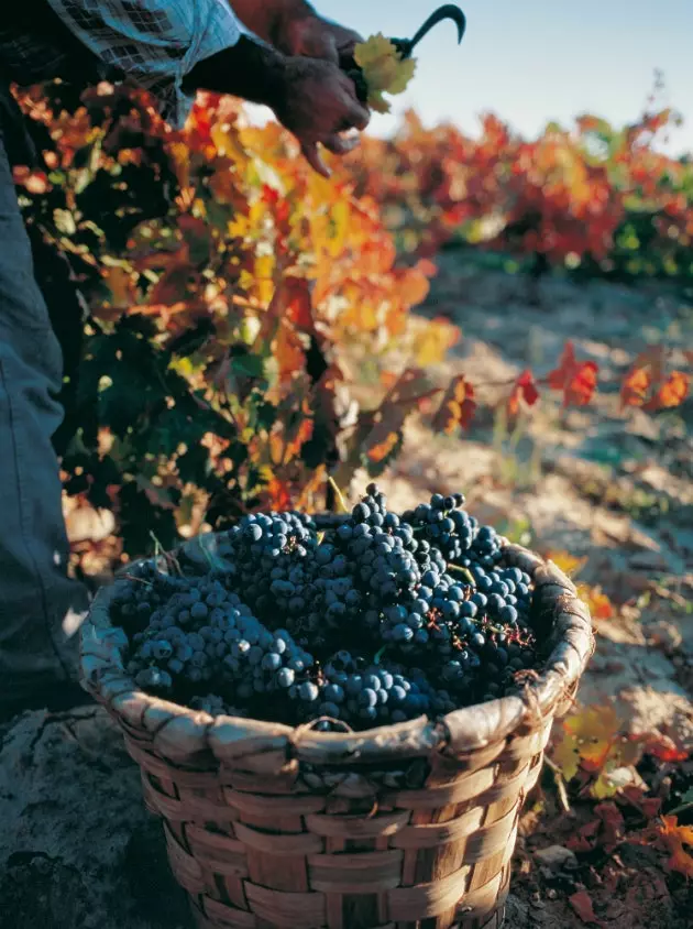 10 esperjenzi uniċi f'La Rioja