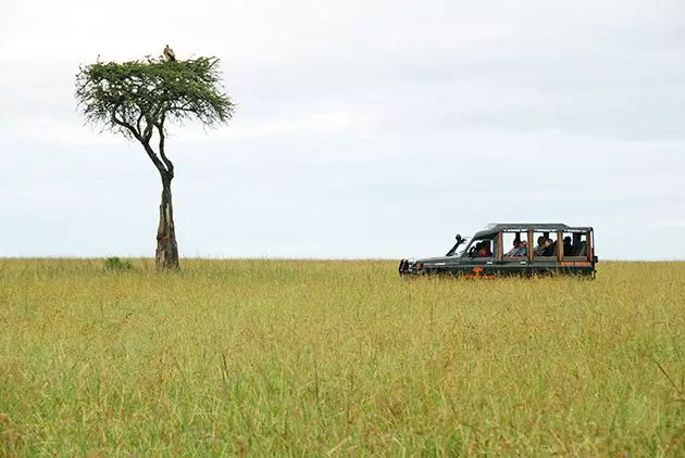 Un safari a Àfrica