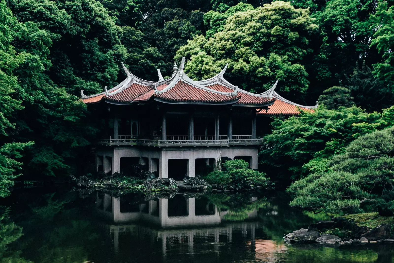 Narodni vrt Shinjuku Gyoen v Shinjukuku na Japonskem.