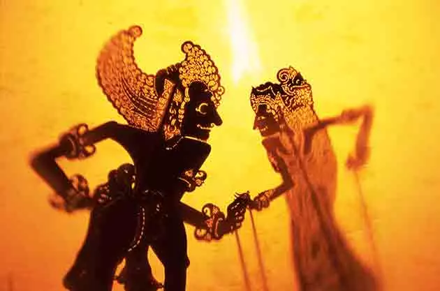 Wayang Shadow Show