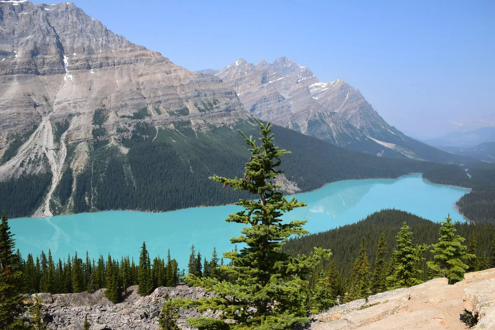 Lago Peyto